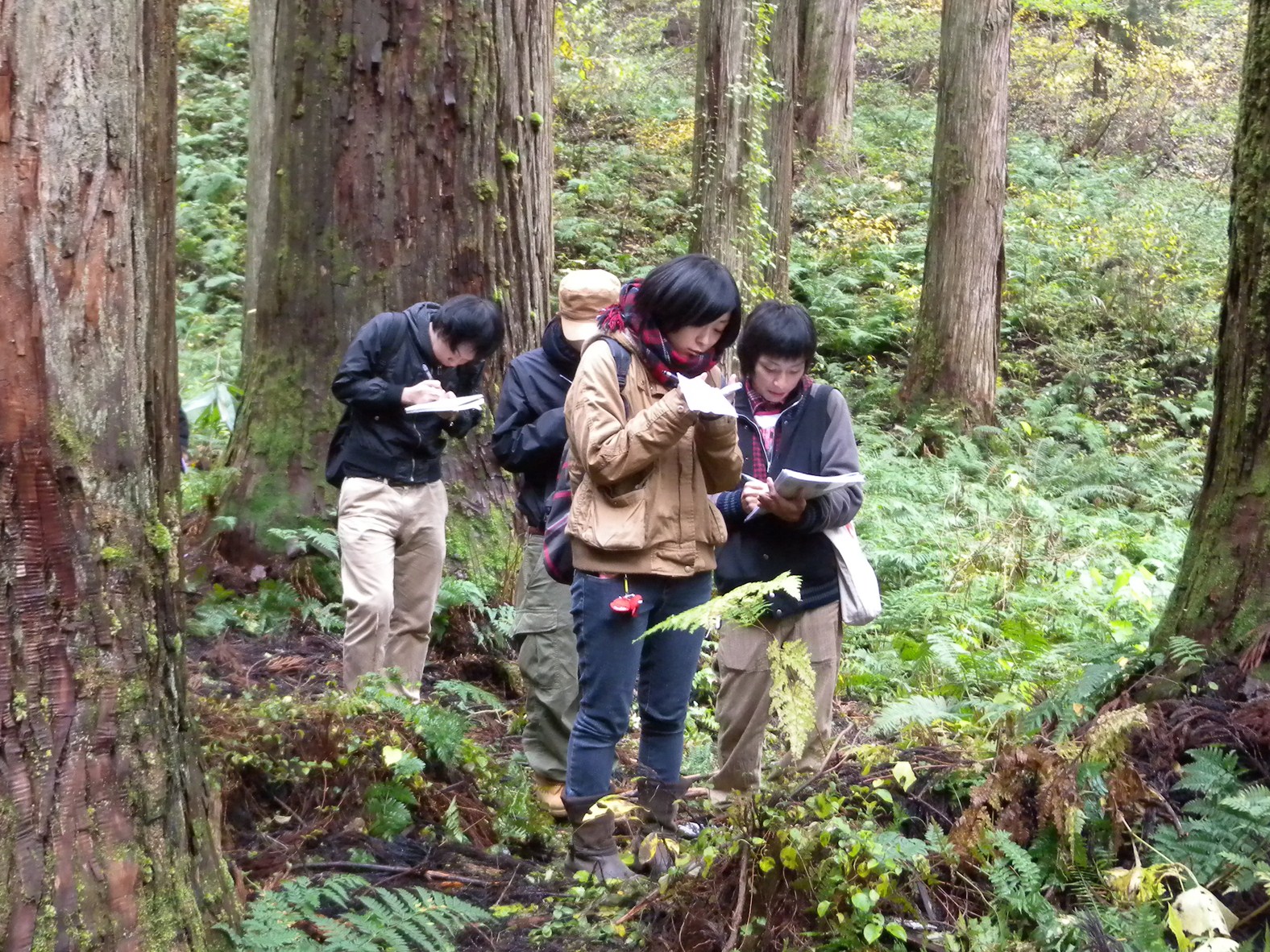 地域の森林資源を調査