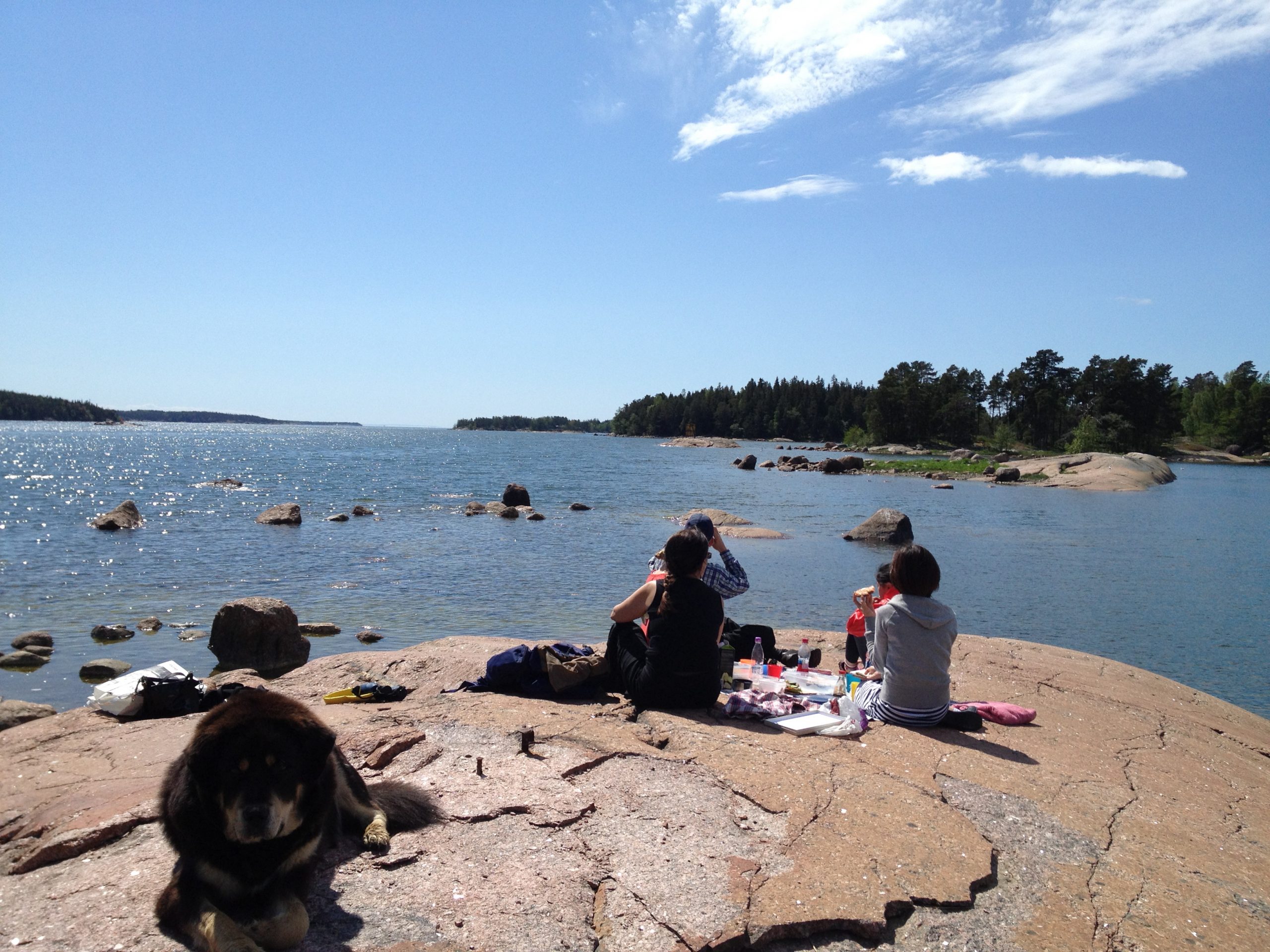 フィンランドの夏の風景