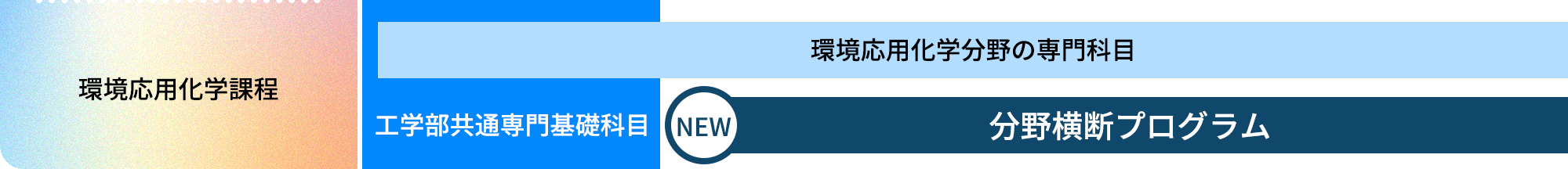 環境応用化学課程|環境応用化学分野の専門科目|工学部共通専門基礎科目|NEW|分野横断プログラム