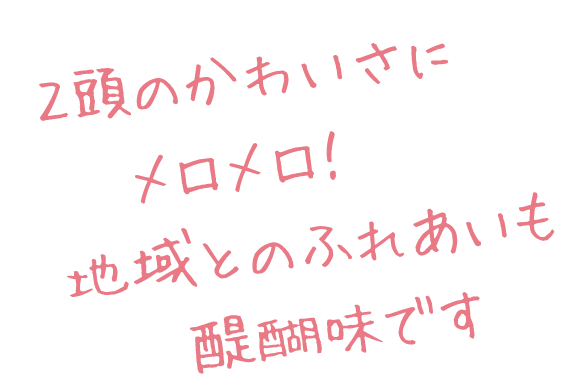 2頭のかわいさにメロメロ！地域とのふれあいも醍醐味です