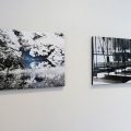 写真部「二月展」