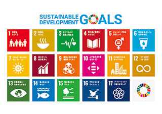 SDGｓ17の国際目標