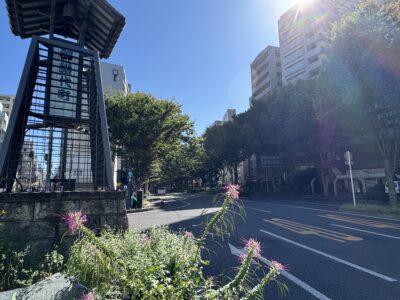 心地よさを、自分のペースで紡ぐ<br />
—— 仙台の中心部で実践する循環型のライフスタイル